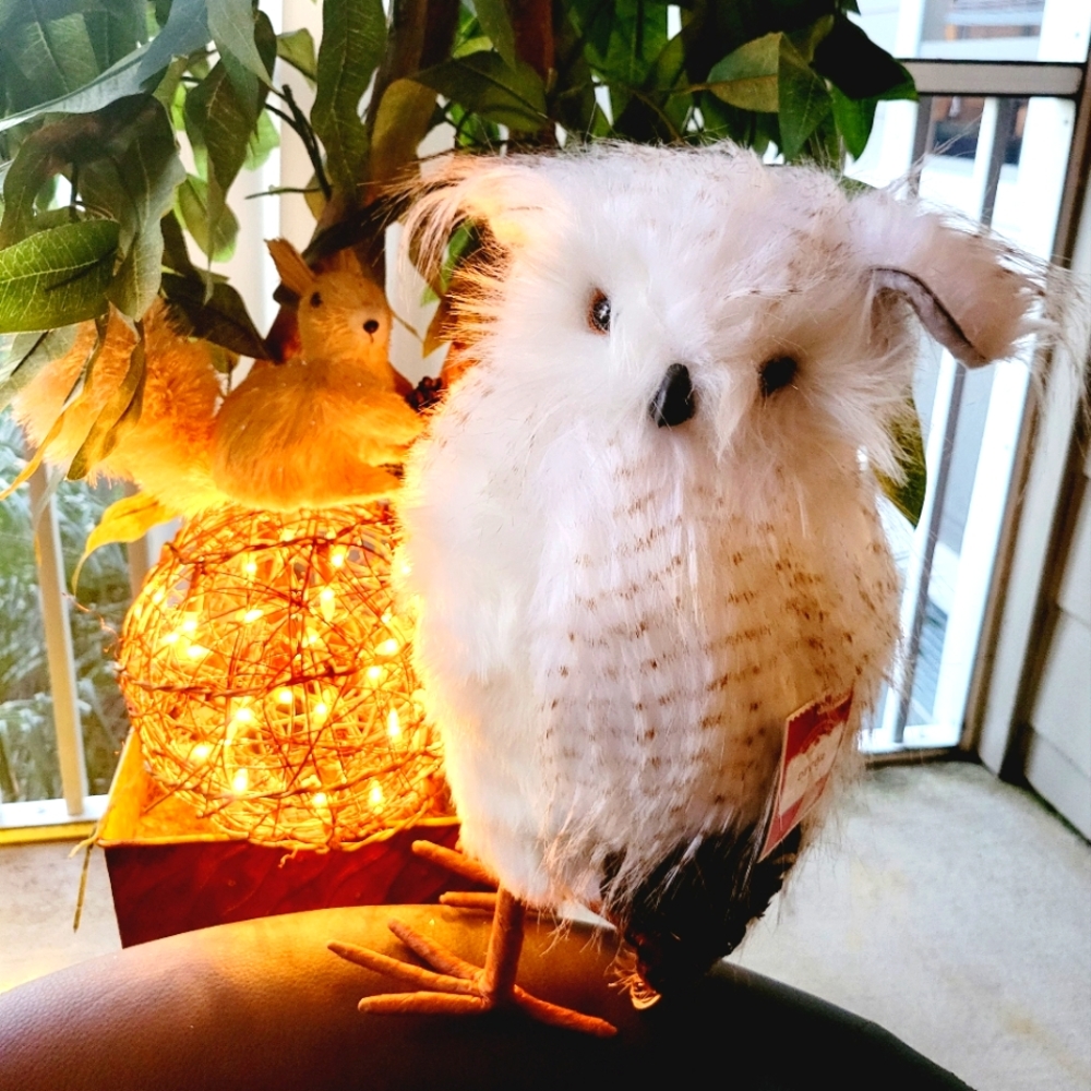 Majestic Owl